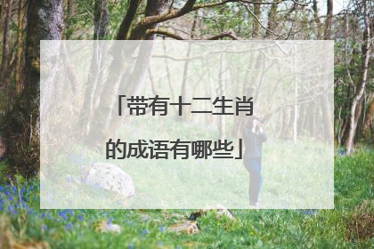 带有十二生肖的成语有哪些