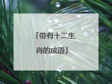 带有十二生肖的成语