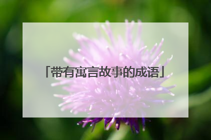 带有寓言故事的成语