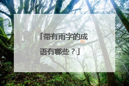 带有雨字的成语有哪些?