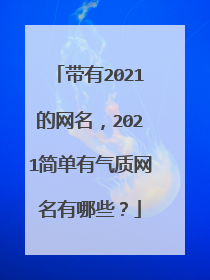 带有2021的网名,2021简单有气质网名有哪些?