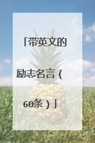 带英文的励志名言(60条)
