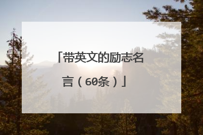 带英文的励志名言(60条)