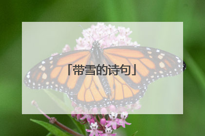 带雪的诗句