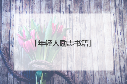 年轻人励志书籍
