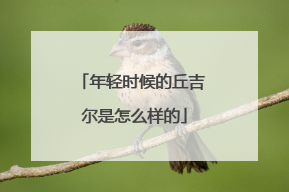 年轻时候的丘吉尔是怎么样的