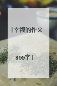幸福的作文800字