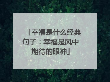 幸福是什么经典句子:幸福是风中期待的眼神