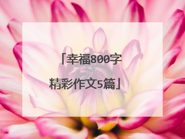 幸福800字精彩作文5篇