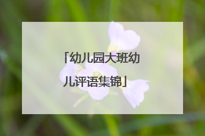 幼儿园大班幼儿评语集锦