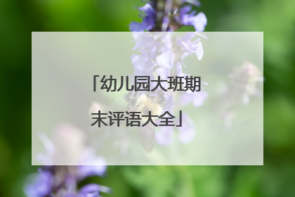 幼儿园大班期末评语大全