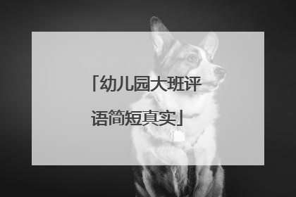 幼儿园大班评语简短真实