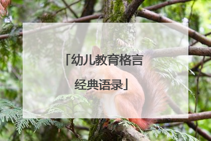 幼儿教育格言 经典语录