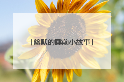 幽默的睡前小故事