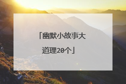 幽默小故事大道理20个