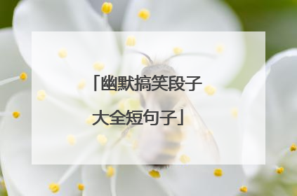 幽默搞笑段子大全短句子