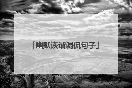 幽默诙谐调侃句子