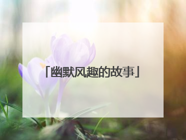 幽默风趣的故事