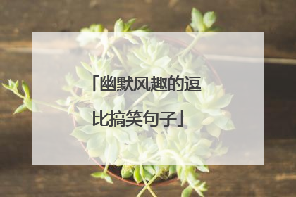 幽默风趣的逗比搞笑句子