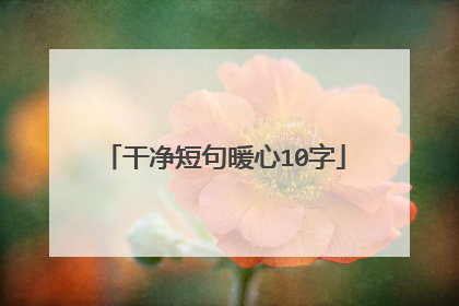 干净短句暖心10字