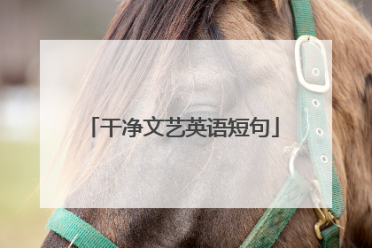 干净文艺英语短句