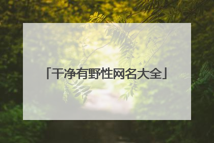干净有野性网名大全