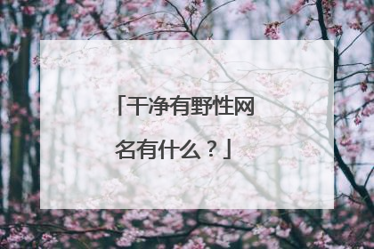 干净有野性网名有什么?