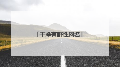 干净有野性网名