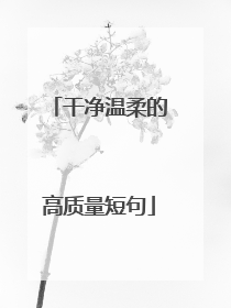 干净温柔的高质量短句