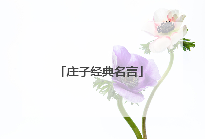 庄子经典名言