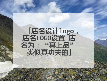店名设计logo,店名LOGO设置 店名为: “真上品” 类似真功夫的