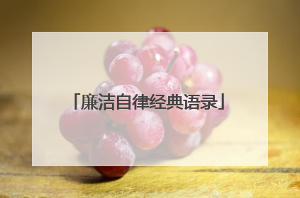 廉洁自律经典语录