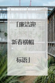 廉洁迎新春横幅标语
