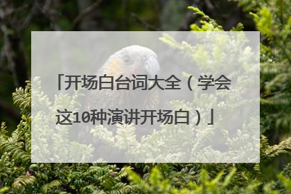 开场白台词大全(学会这10种演讲开场白)