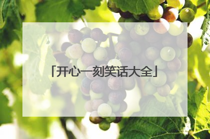 开心一刻笑话大全