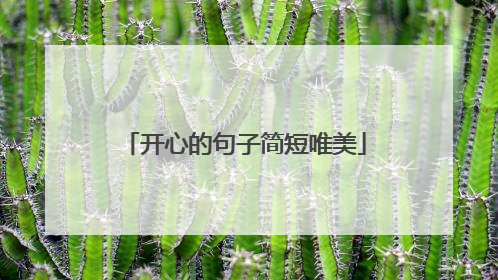 开心的句子简短唯美