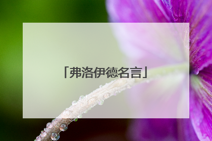 弗洛伊德名言