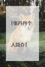 张丹丹个人简介