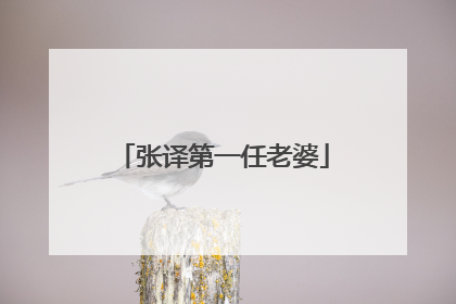 张译第一任老婆