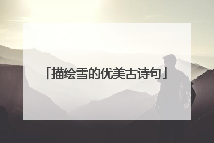 描绘雪的优美古诗句