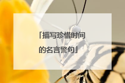 描写珍惜时间的名言警句