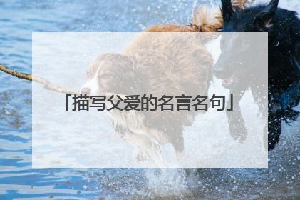 描写父爱的名言名句