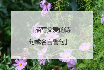 描写父爱的诗句或名言警句