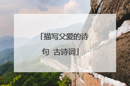 描写父爱的诗句 古诗词