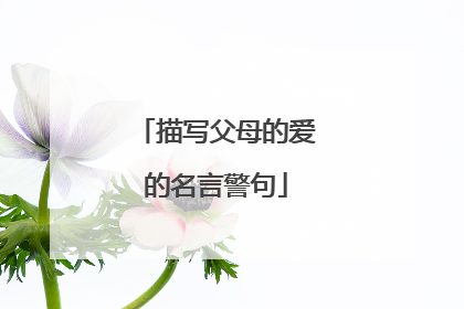 描写父母的爱的名言警句