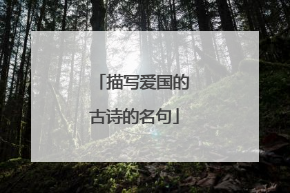 描写爱国的古诗的名句