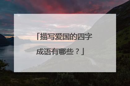 描写爱国的四字成语有哪些?