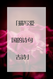 描写爱国的诗句古诗