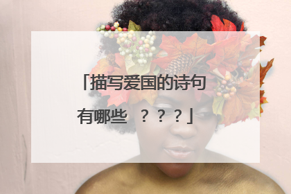 描写爱国的诗句有哪些 ???