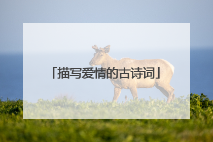 描写爱情的古诗词